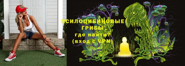 герыч Алзамай