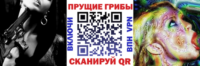 blacksprut вход  Карабулак  Псилоцибиновые грибы Psilocybe 